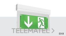 NORMALUX SG-K LUMINARIA SENALIZ.SIGNAL 7 PMT.LED 1h BL